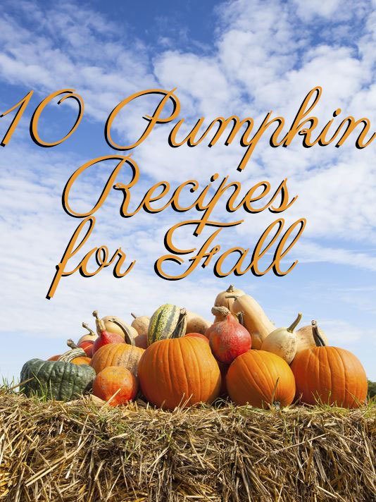 10 pumpkin recipes for fall