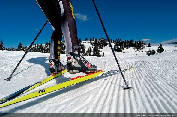 Cross-country skiing in Trentino