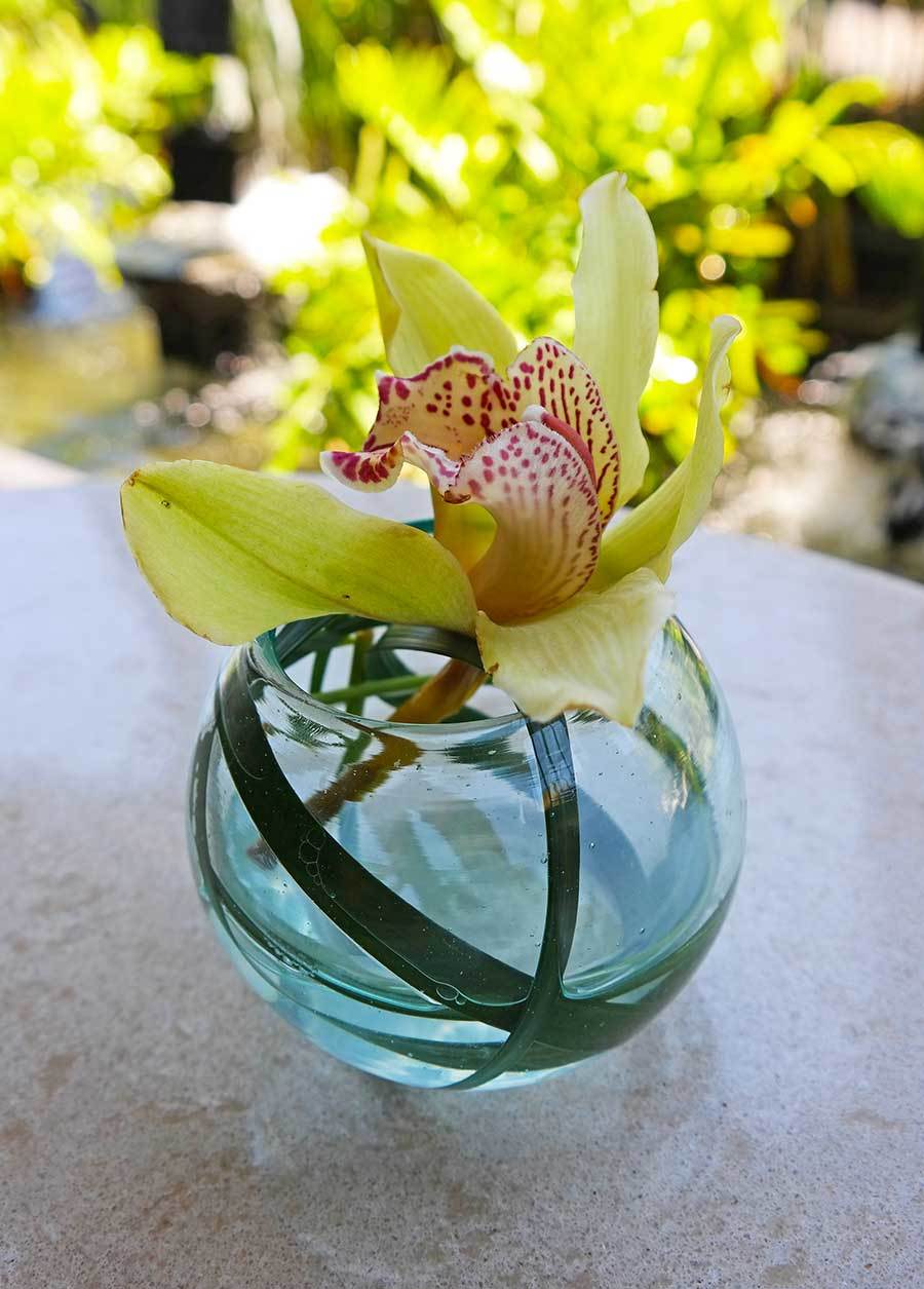 orchids-in-bali