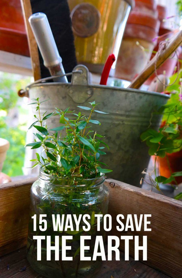 15 easy ways to save the earth