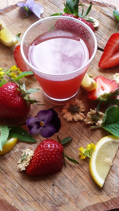 Strawberry Chrysanthemum Elixir