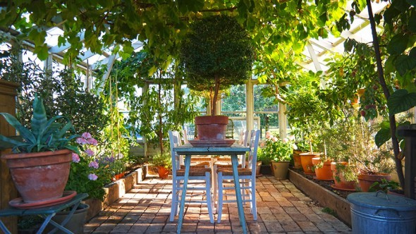 greenhouse-with-table-inside