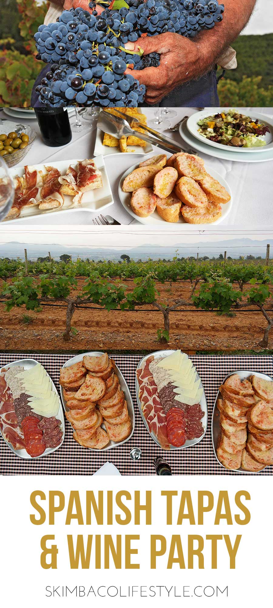 spanish-wine-and-tapas-party-ideas